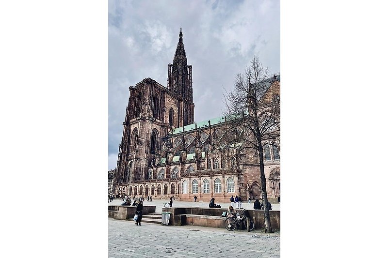 Das Straßburger Münster (Frankreich, ca. 28 km entfernt)