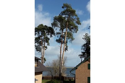 Haus Seestern im Müritzseepark Röbel