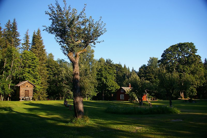 Ländliches Anwesen mit grünem Garten und Haus.