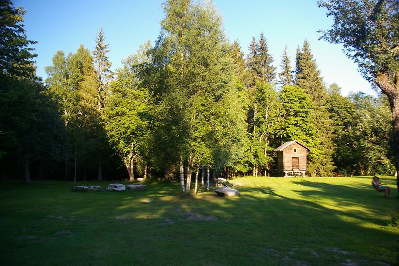Ruhige Waldlandschaft mit grüner Wiese und Haus.