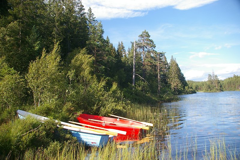 Ruhiger See mit Booten und grüner Landschaft.