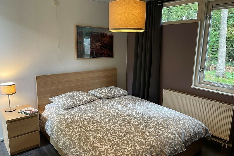 Schlafzimmer mit bequemem Bett, stilvoller Beleuchtung und Pflanzen.