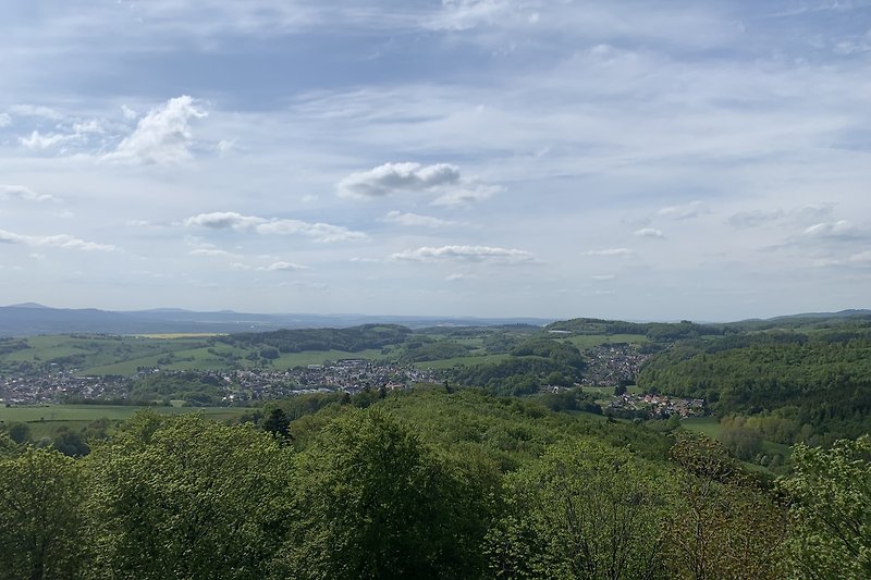 Panoramablick von Aussichtsturm der Wallenburger