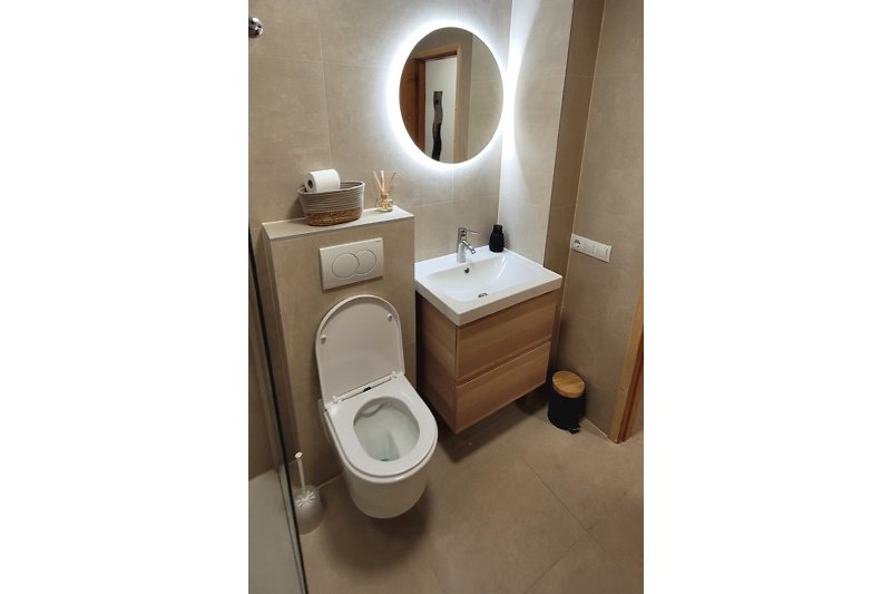 Gerenoveerde luxe badkamer met inloopdouche, toilet en wastafel