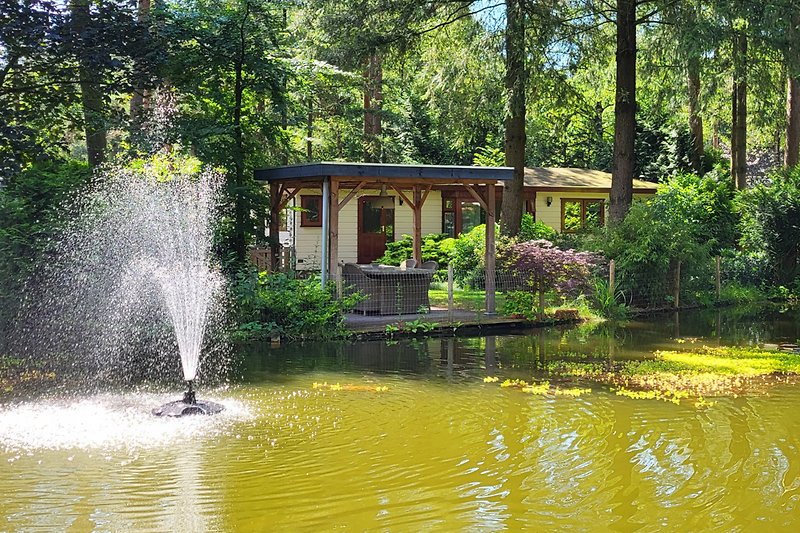 Naturparadies mit Teich, Bäumen und üppiger Vegetation.