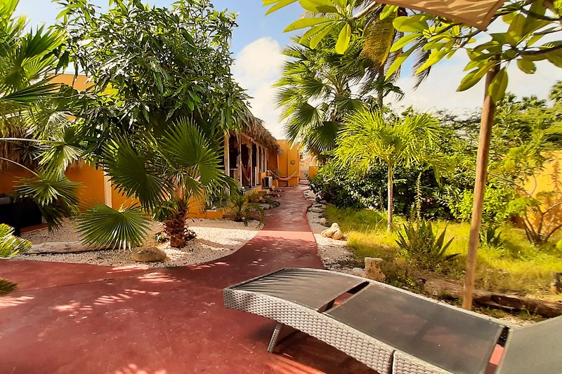 Tropischer Garten mit Palmen und grüner Landschaft.