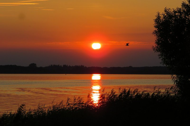 Traumhafter Sonnenuntergang über ruhigem Gewässer.