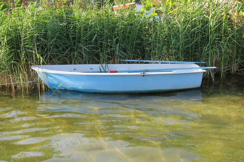 Ruhiger See mit Booten und Pflanzen - perfekt für Wassersport!