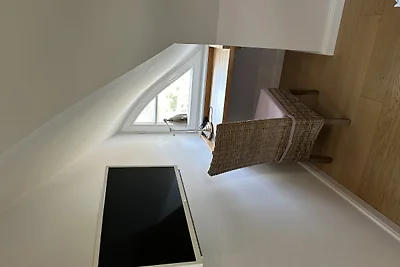 Haubentaucher