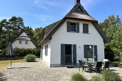 Haubentaucher
