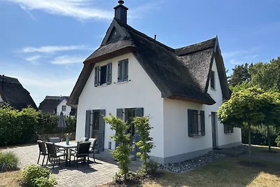 Haubentaucher
