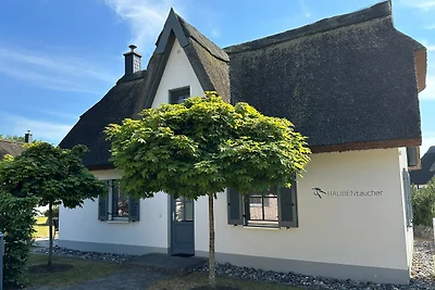 Haubentaucher