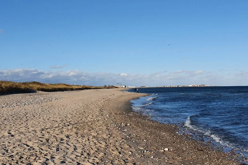 Wandeling op het strand