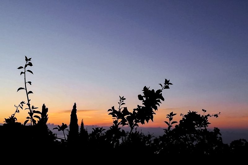 Sonnenuntergang im Garten der Finca