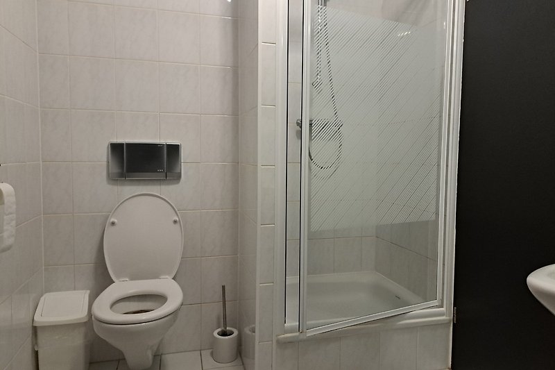 Modernes Badezimmer mit Glasdusche, Toilette und Aluminiumtür.