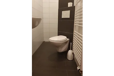 ZEEALSEM