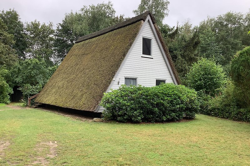 Reetgedecktes Haus mit Holzfassade im Grünen.