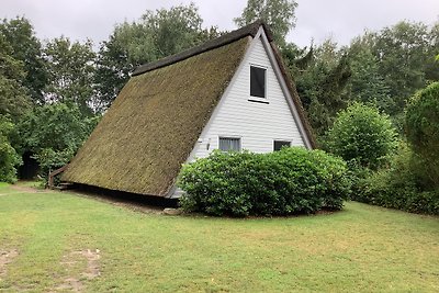 Ferienhaus „DIE ELF“