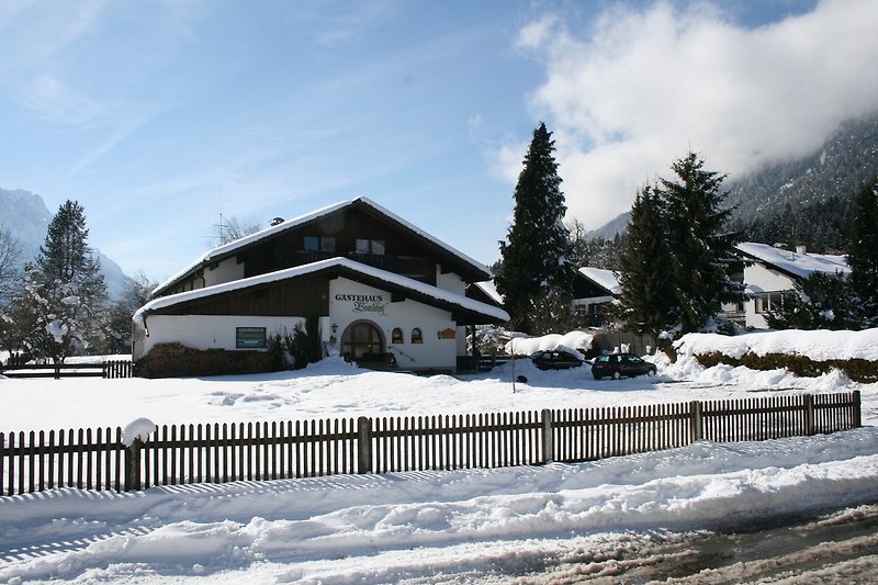 Winterlandschaft mit verschneiten Bergen und Tannen.