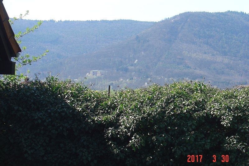 Blick vom Ferienhausgrundstück zur Villa Ludwigshöhe und Rietburg