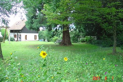 Ferienhaus in Edenkoben mit eigenem, abgeschlossenem Garten