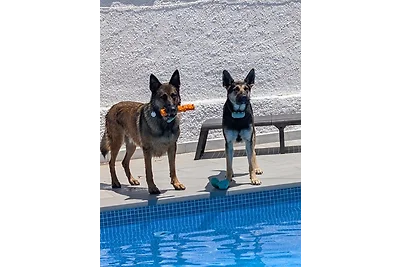 Casa Chrissy - incl. Klima