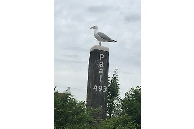 Ferienpark De Krim Texel