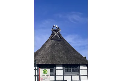 Fewo Hamburg Süd