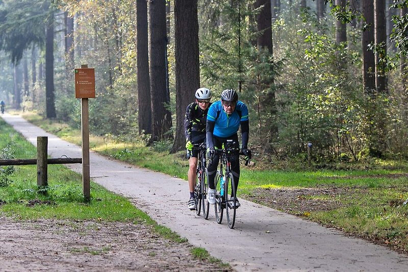 Fahrräder und Natur: Waldweg mit Rennrädern und Pflanzen.