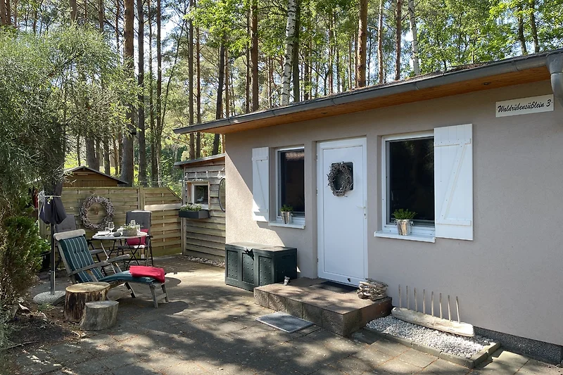 Haus mit Garten und einladender Eingangstür
