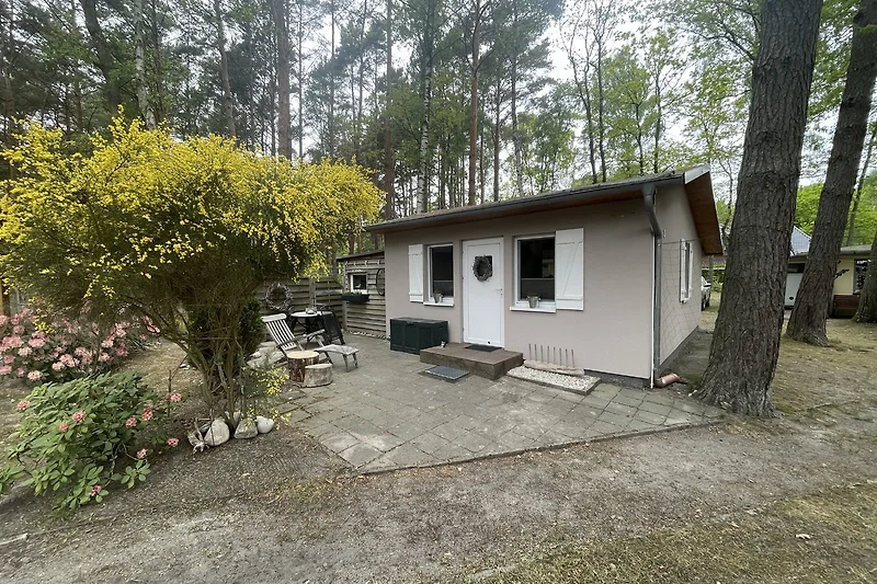 Haus mit großem Garten, Terrasse, Einfahrt und gepflegtem Rasen.