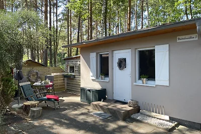 Waldrübensüßlein