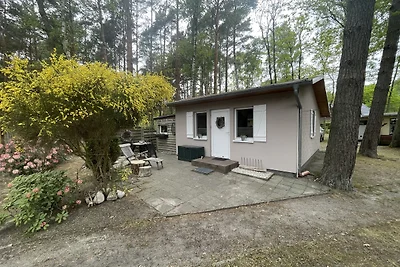Waldrübensüßlein