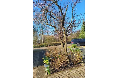 Het Baken 130-4322DB Scharendijke