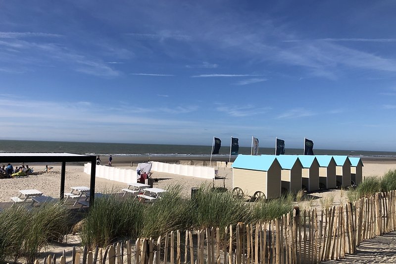 Strand in Bredene