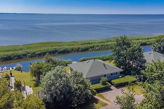 Perfekt für Mensch und Hund