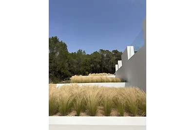 Harmony Suites Ibiza