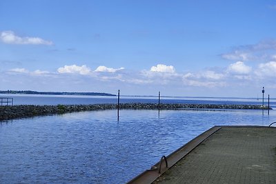 Seestern Nr. 201 im Müritzturm