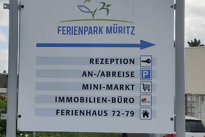 Seestern Nr. 201 im Müritzturm