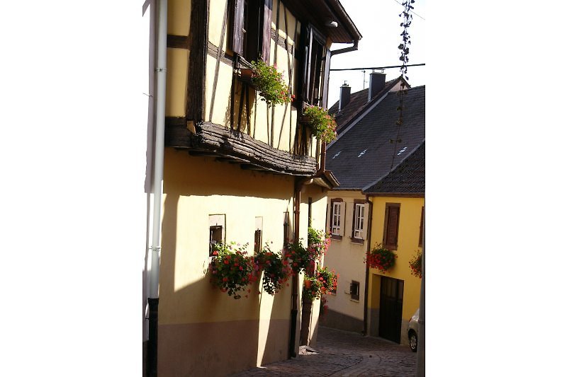 Rental in Gueberschwihr, near Colmar, Eguisheim, Riquewihr, Kaysersberg.