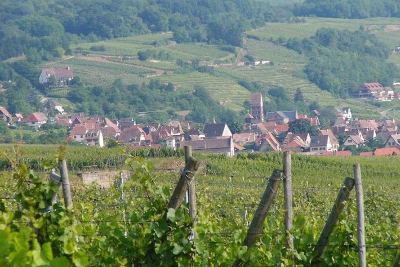 Gueberschwihr, classified Village with Medieval Charm, surrounded by Vineyards.