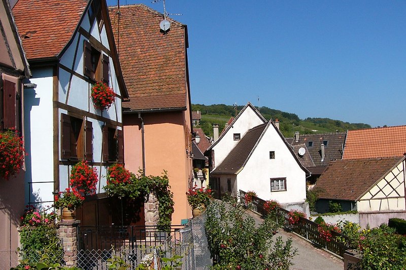Loadging in Gueberschwihr, picturesque village in Alsace near Colmar, Eguisheim, Kaysersberg, Riquewihr, quiet area.