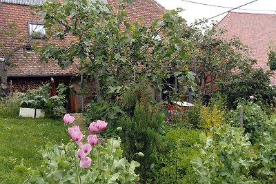 Ruhiges gemütliches Ferienhaus im Elsass in Gueberschwihr bei Colmar und Eguisheim