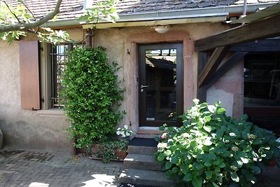 Ruhiges gemütliches Ferienhaus im Elsass in Gueberschwihr bei Colmar und Eguisheim