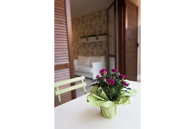 La Casara