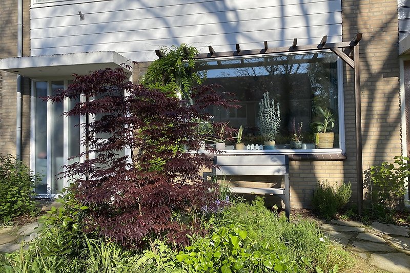 De voorkant van ons huis en de groene voortuin. Hier is de hele ochtend en het begin van de middag een lekker zonnetje.