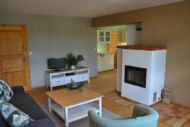 Wohnzimmer mit Holzmöbeln, Fernseher, Pflanzen und Couch.