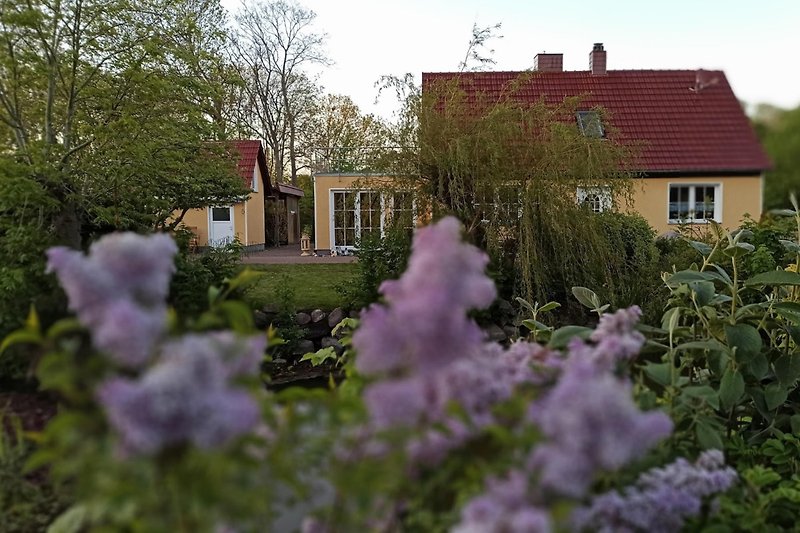 Lavendel und Blumen vor dem Haus mit grünem Garten.