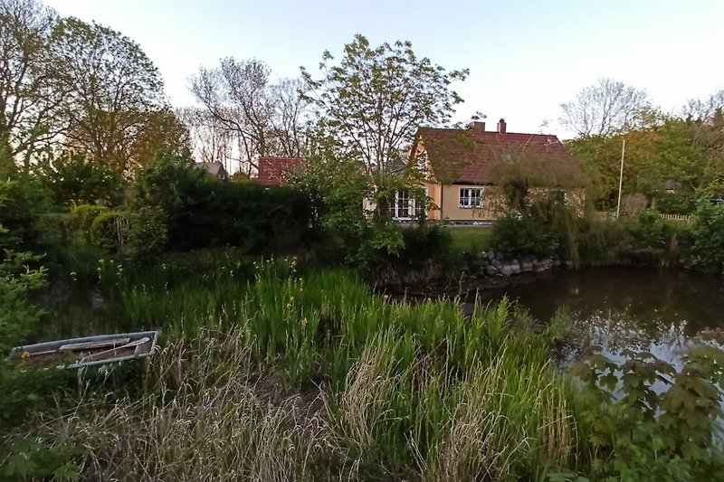 Grüne Landschaft mit Haus am Wasser.