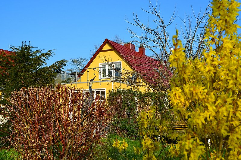 Ländliches Haus mit blühenden Pflanzen und grüner Landschaft.